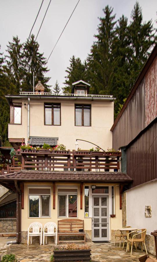 Apartamento Casa Sara Sinaia Exterior foto